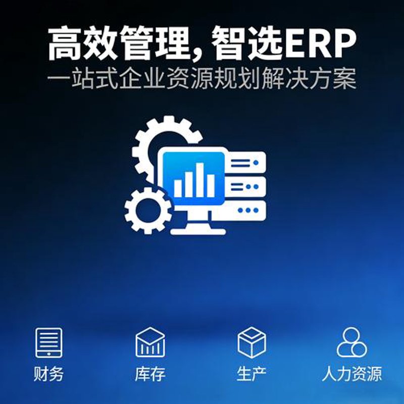 ERP系统的开发：企业运营的智慧引擎